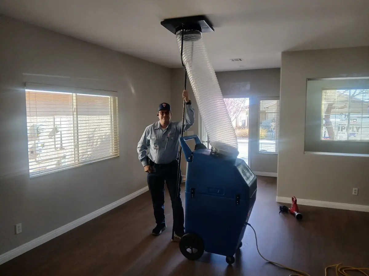 Professional Dryer Vent Cleaning work inside a Elmwood home